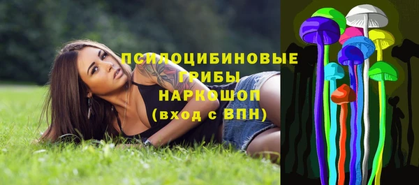 дживик Алексеевка